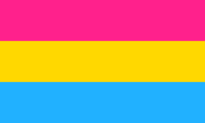 drapeau-pansexualite