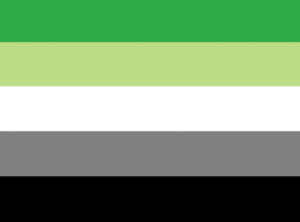 Drapeau de la fierté aromantique : bandes verte, vert pâle, blanche, grise et noire.