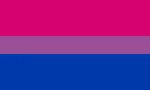 Drapeau de la fierté bisexuelle : bandes magenta, mauve et bleue.
