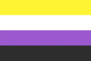 Drapeau de la fierté non-binaire : bandes jaune, blanche, violette et noire.